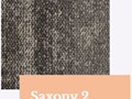 Saxony2