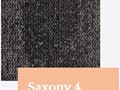 Saxony4